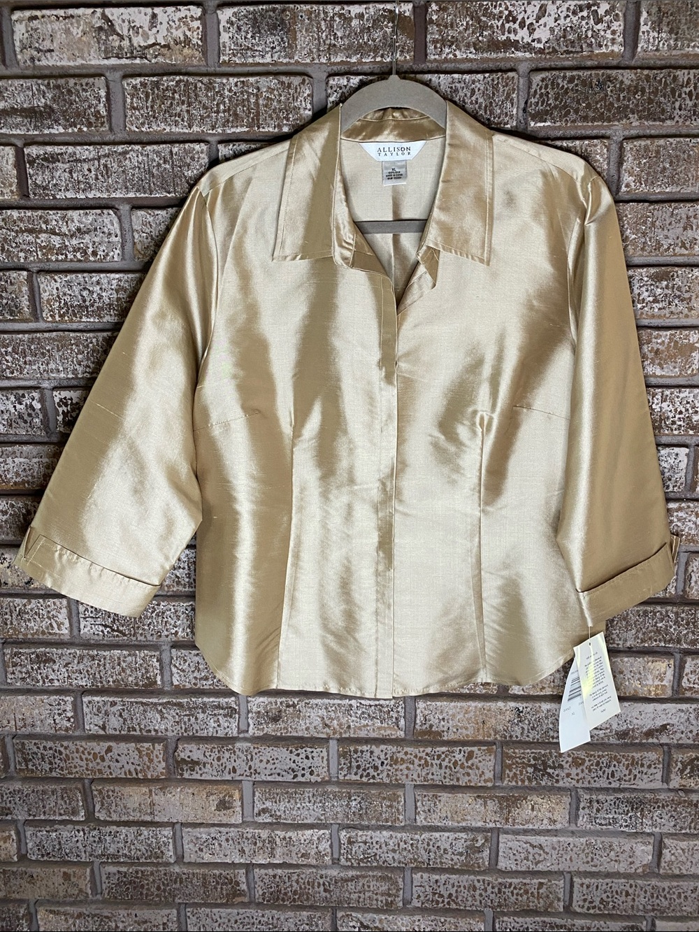 NWT Allison Taylor Shimmery Sand Tone Shantung Silk Covered Button-Front Blouse